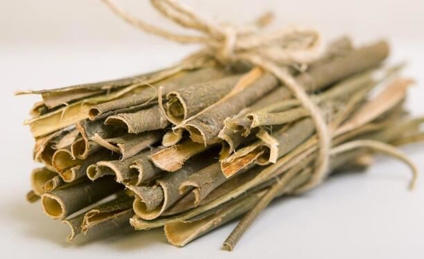 Black Willow Bark benefits