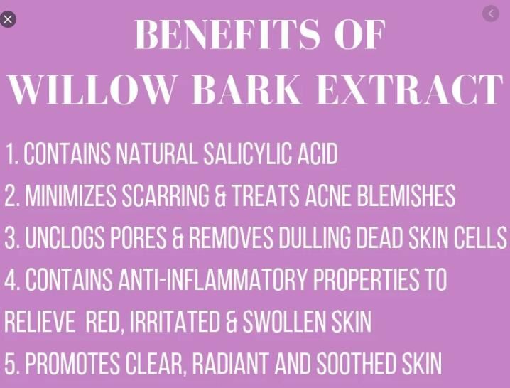 salix alba willow bark extract benefits