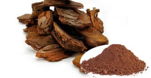 pine bark extract powder