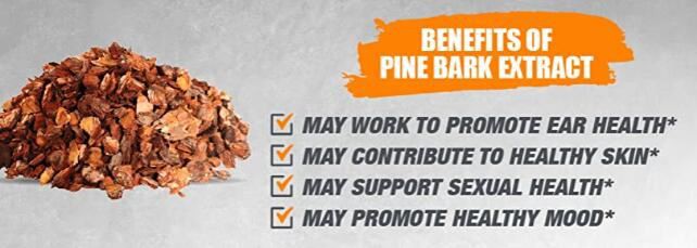 pine bark powder benefits