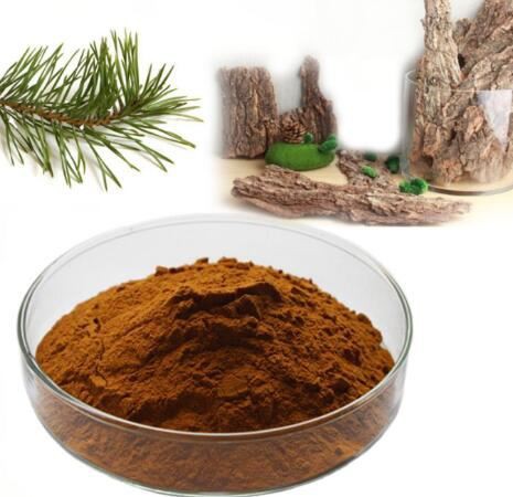 best pine bark extract