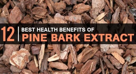 Pinus Massoniana Bark Benefits