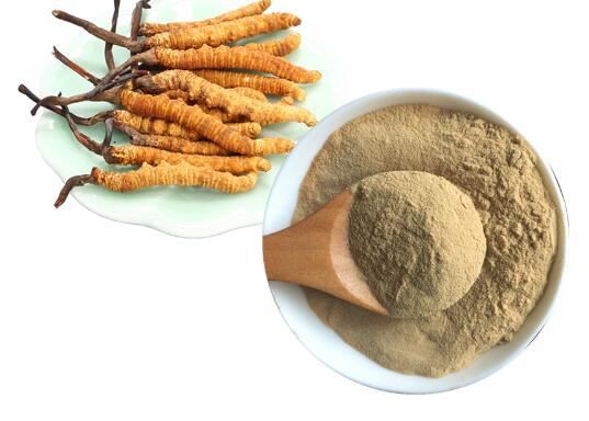 cordyceps mushrooms extract