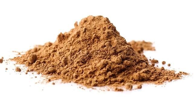 organic cordyceps powder