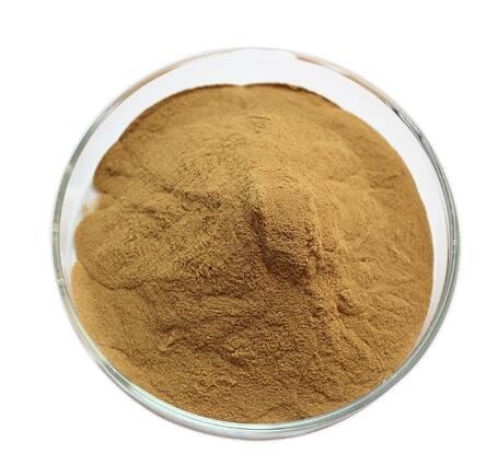 cordyceps bulk powder