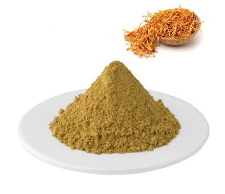 cordyceps mycelium powder