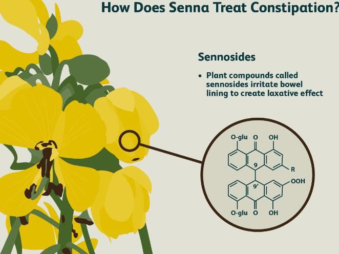 Senna Leaf Extract Dose