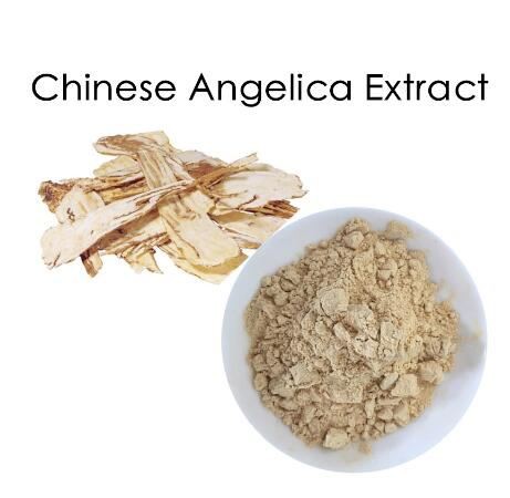 Dong Quai root extract