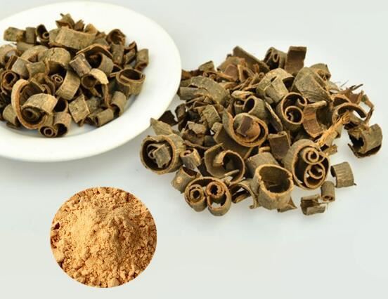 Magnolia Officinalis Bark powder