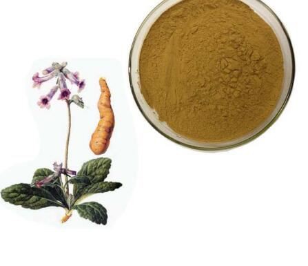 rehmannia chinensis root extract