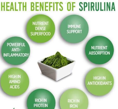 organic spirulina powder benefits