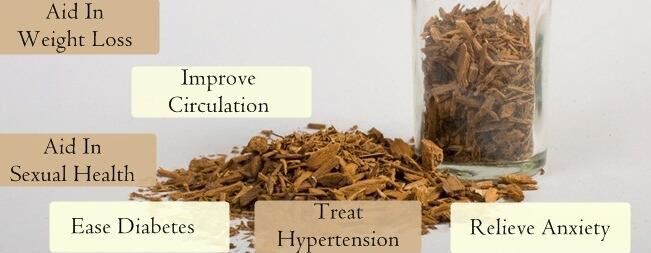 yohimbine bark benefits