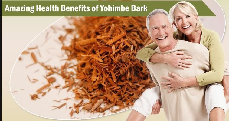 yohimbe bark powder benefits