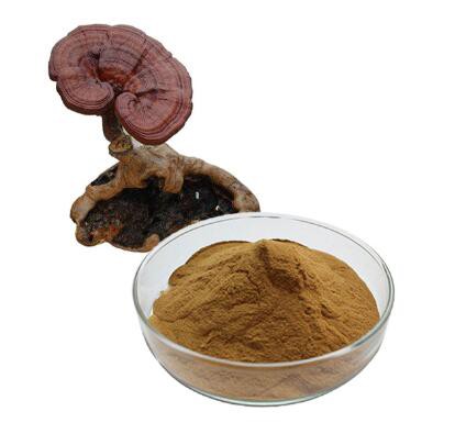 reishi mushroom extract powder