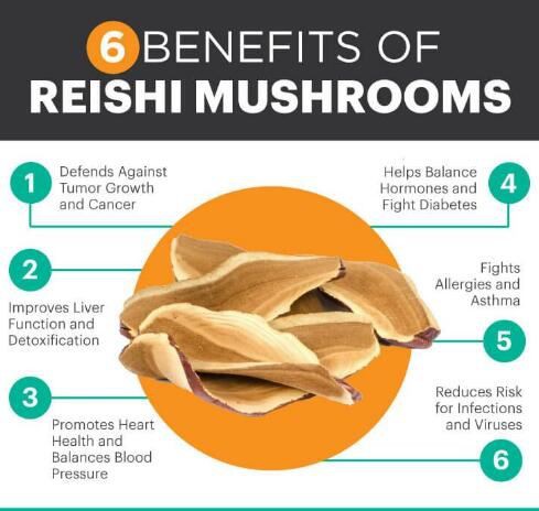 reishi mushroom benefits