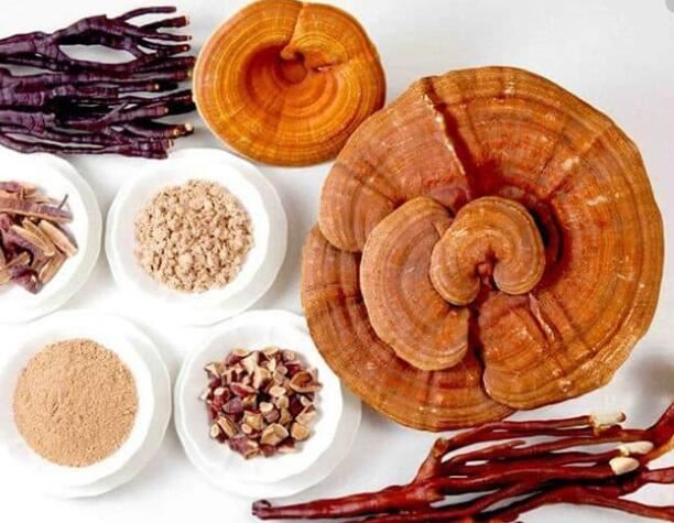 Reishi mushroom powder bulk Benefits