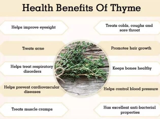 thymus vulgaris benefits