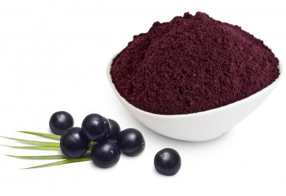 organic bilberry powder