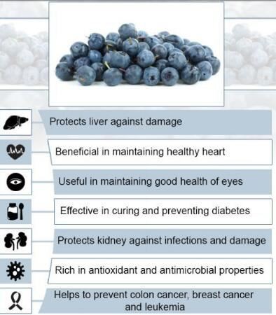 bilberry extract benefits