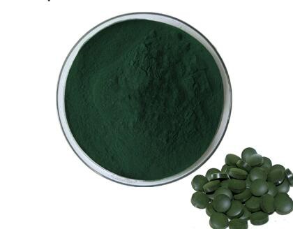 best organic spirulina powder