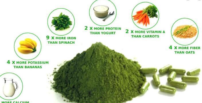 wholesale spirulina powder benefits