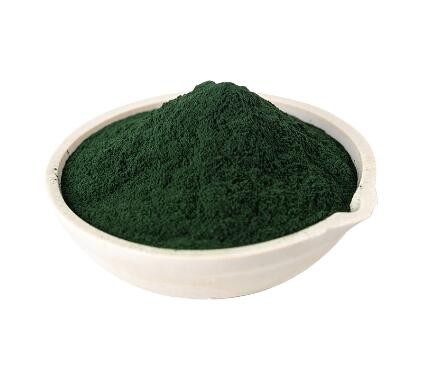 buy spirulina powder