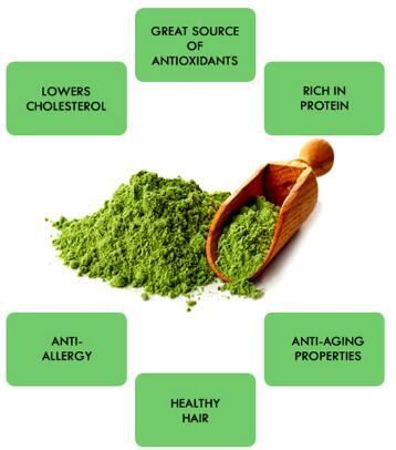 best spirulina powder benefits