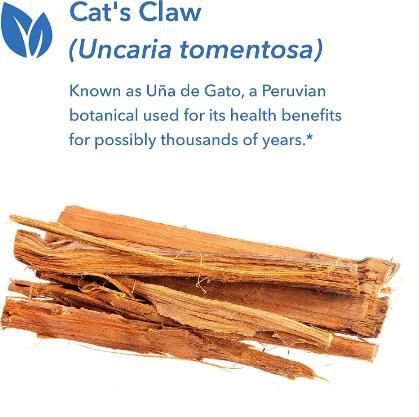 Uncaria Tomentosa benefits