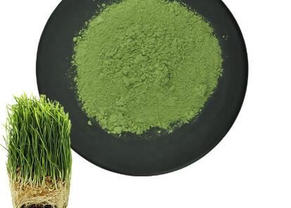 organic barley grass juice powder