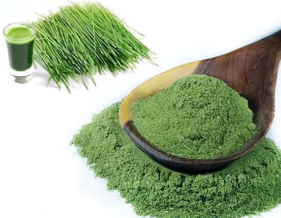 organic green barley grass powder