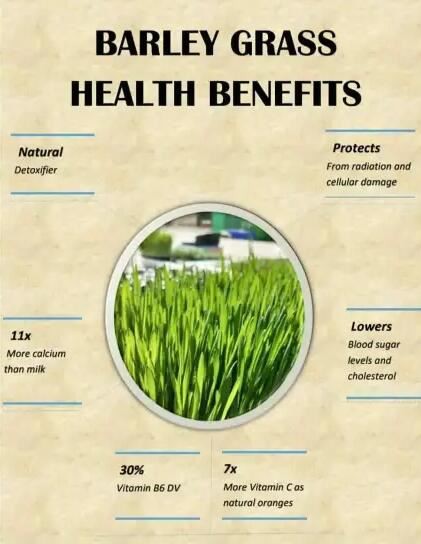 Green Barley Grass benefits