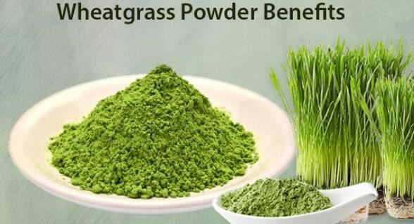 wheatgrass juice benefits