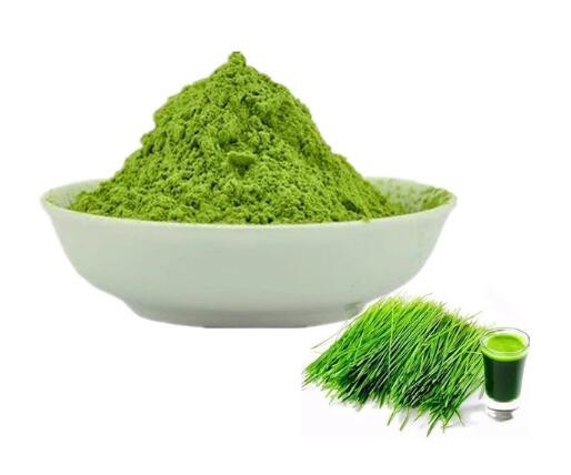 bulk wheatgrass powder