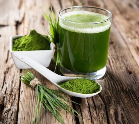 best wheatgrass powder