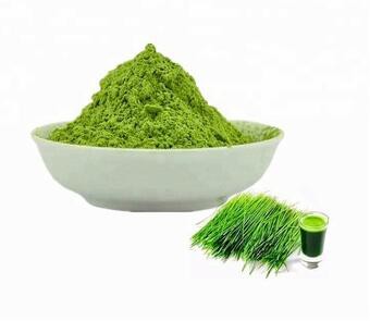 best wheatgrass juice powder