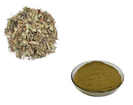 Epimedium Herb Extract