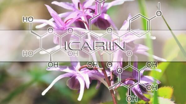 Icariin benefits