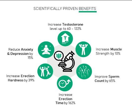 tongkat ali 200 1 extract benefits