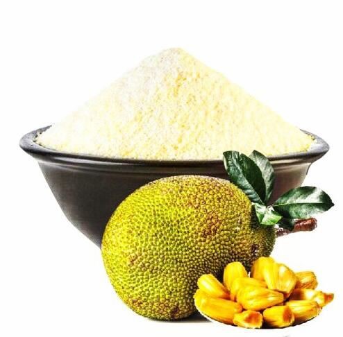 jackfruit protein powder