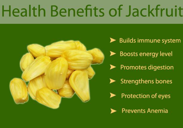 jackfruit benefits