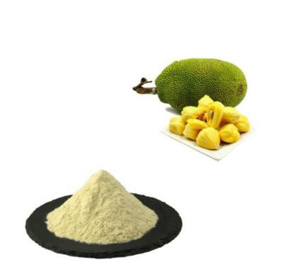 jackfruit extract powder