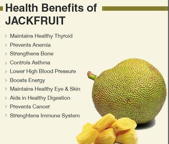 jackfruit extract benefits