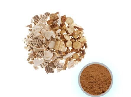 angelica sinensis extract