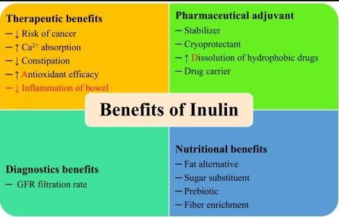 organic inulin benefits