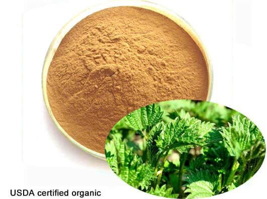 organic nettle leaf powder