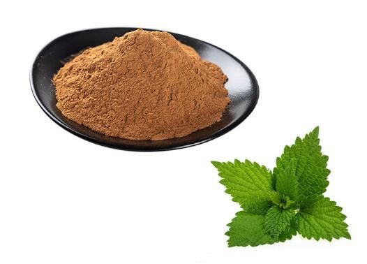 best nettle root extract