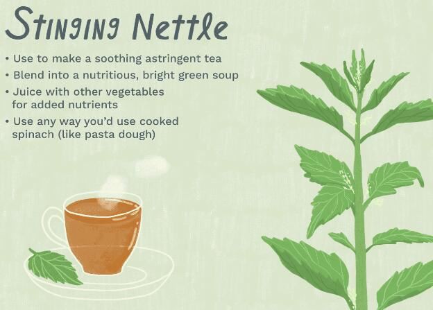 nettle root extract benefits