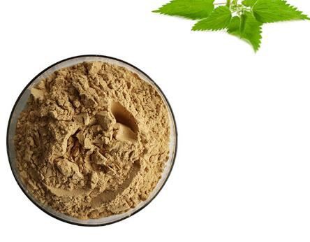 Stinging Nettle Root Extract