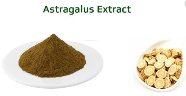 astragalus root extract powder