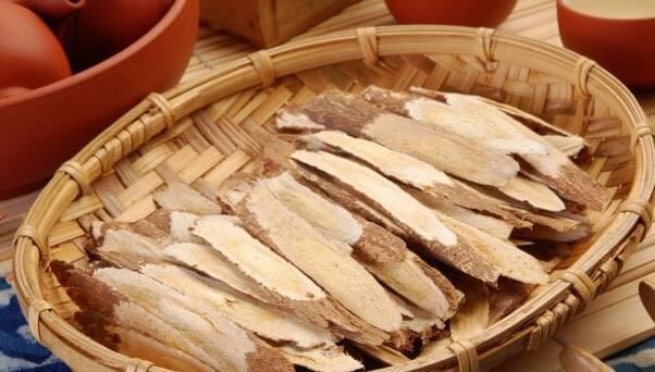 astragalus root powder benefits